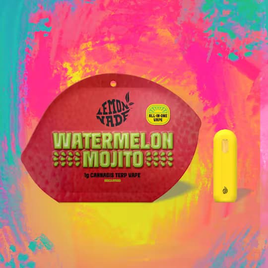 Watermelon Mojito - 1.0g Cannabis Terps All-in-One Disposable - Lemonnade