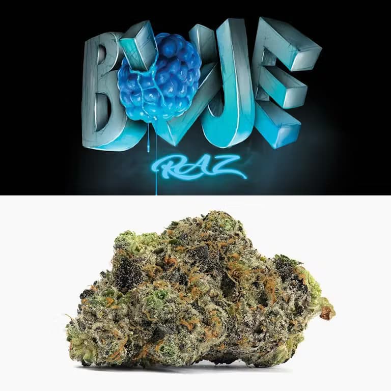 Blue Raz - 3.5g / 1/8oz Premium Flower Nugs - Mylar Bag - Cookies