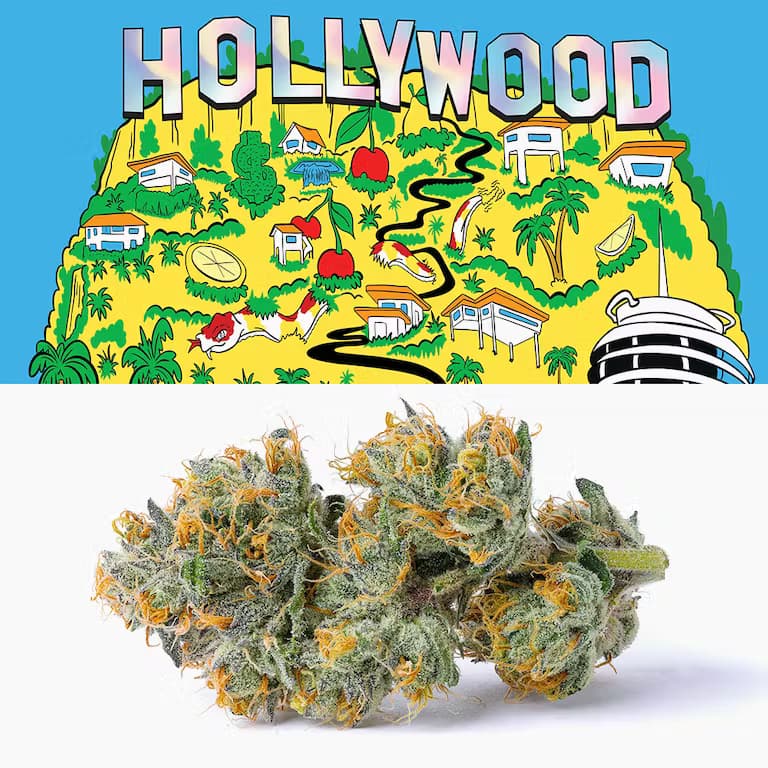 Hollywood - 3.5g / 1/8oz Premium Flower Nugs - Mylar Bag - Cookies